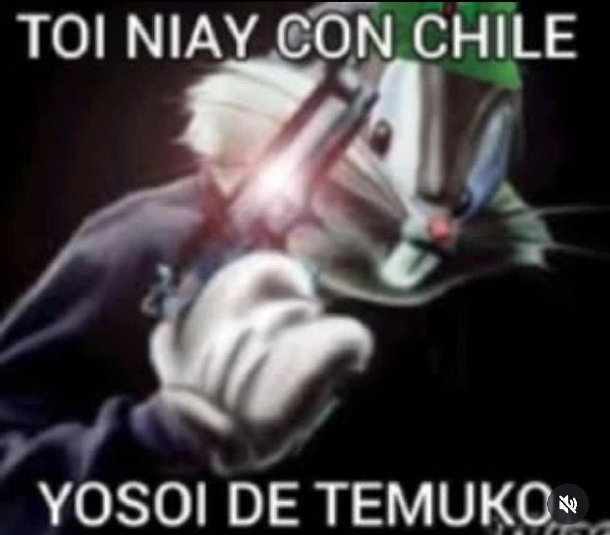 PAULIE TEMUCANO🟢⚪ tweet media
