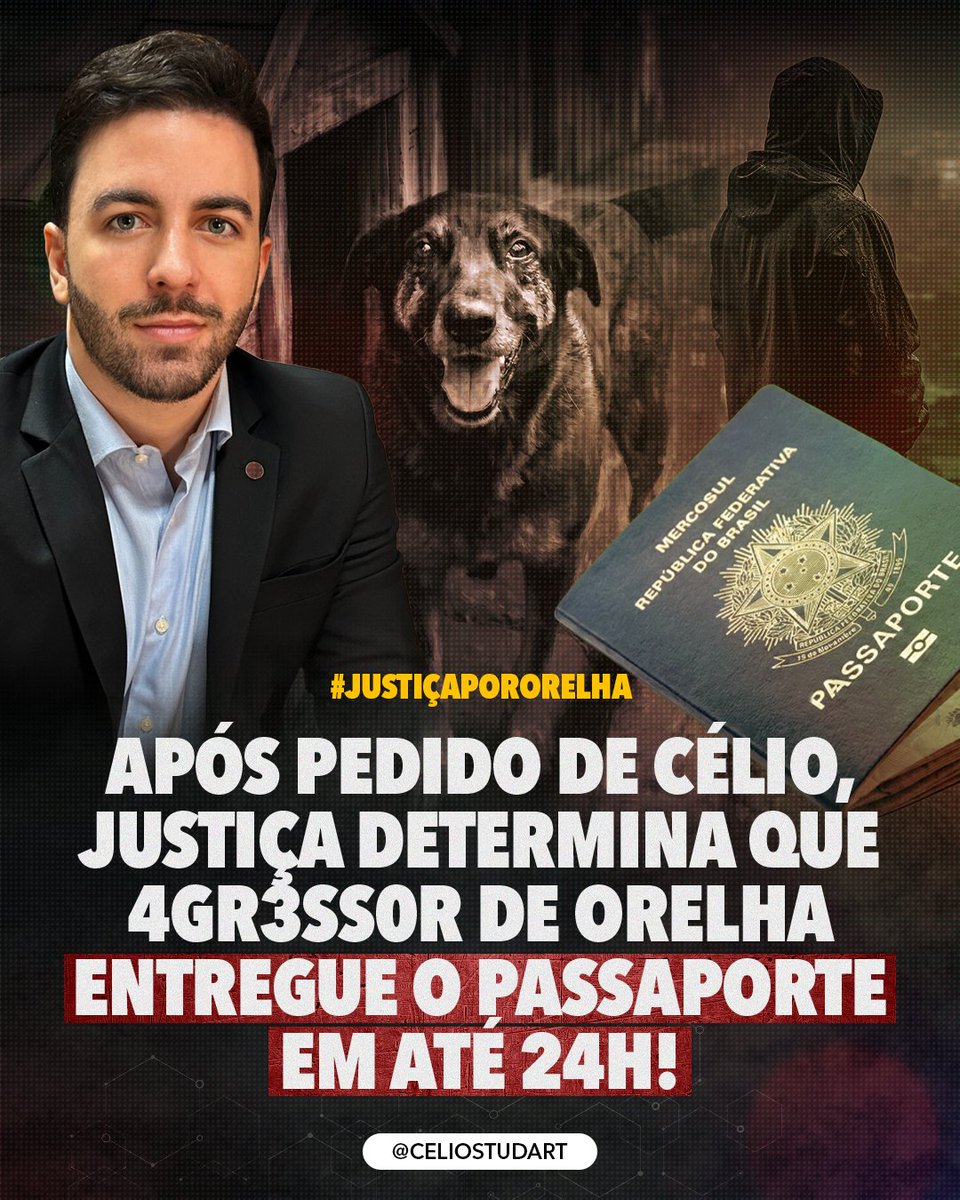CelioStudart's tweet photo. AGRESSOR NÃO VAI FUGIR! https://t.co/1r6Xj1GDsC