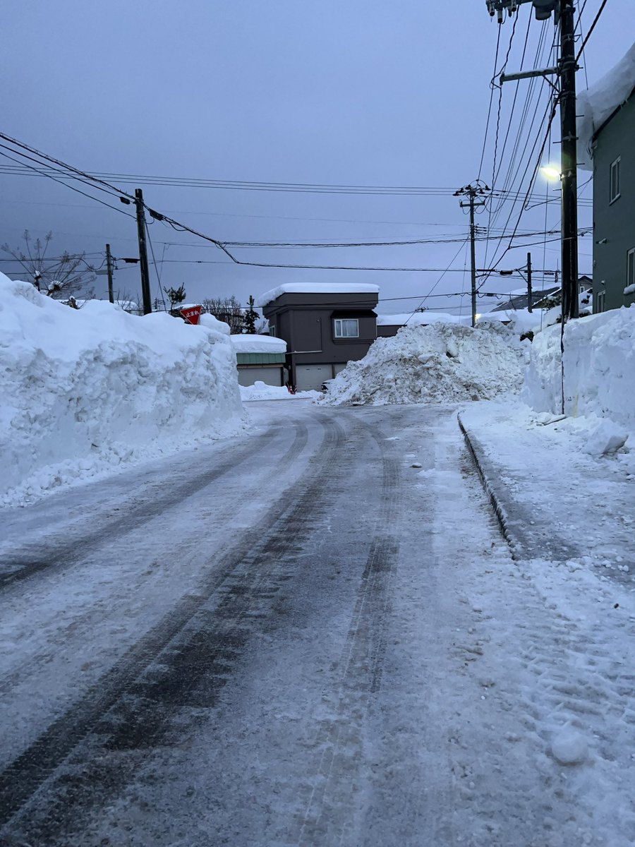 認知気味のわんこがこれ以上動かなかったので、後で改めて見に行った