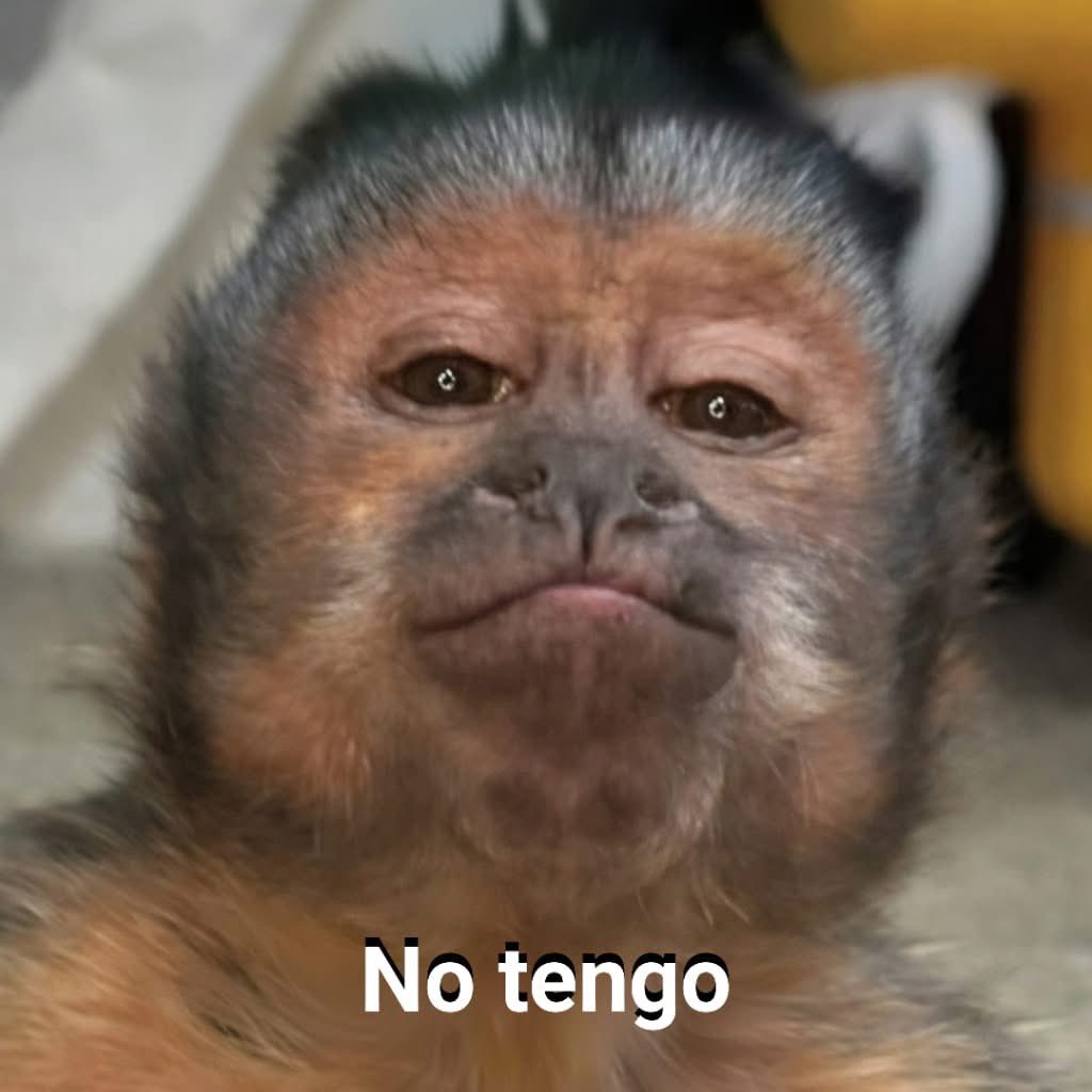 iamjavierh's tweet photo. En dónde queda mi dignidad y amor propio por permitir esto. https://t.co/xzn8AUUGGW