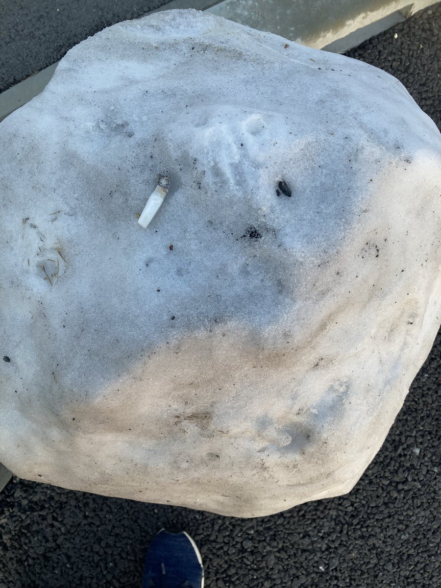 雪だんごだけ溶けてなかった
すごい