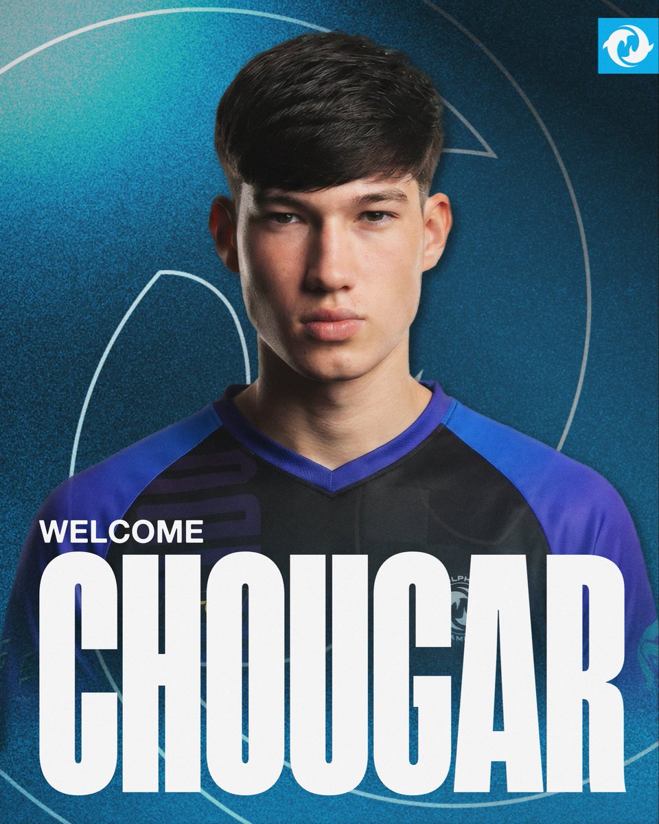 Dolphins gaming tweet media