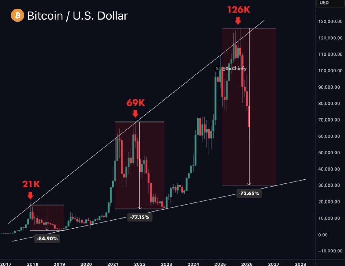 The ₿itcoin Therapist tweet media