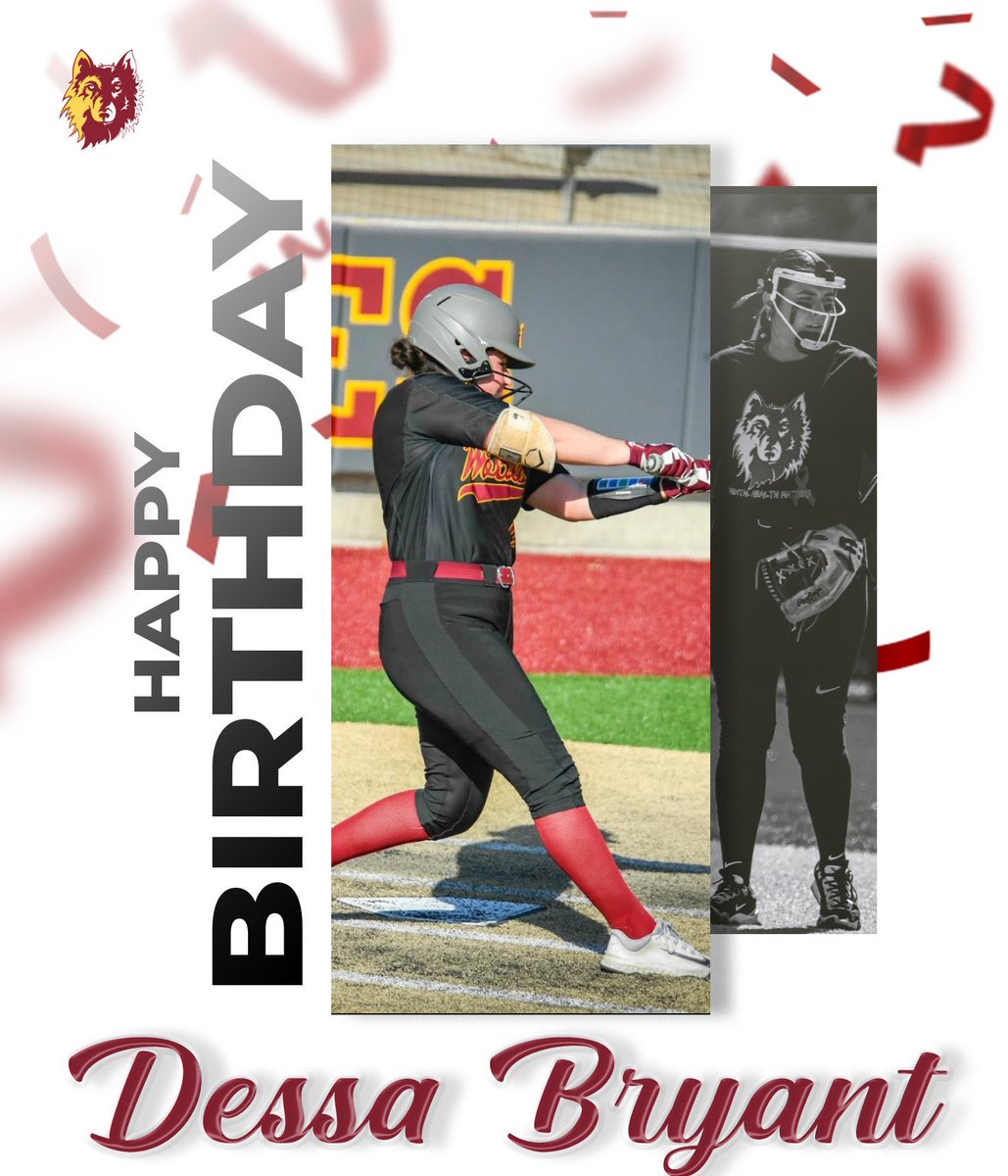 NSU Softball🥎 tweet media