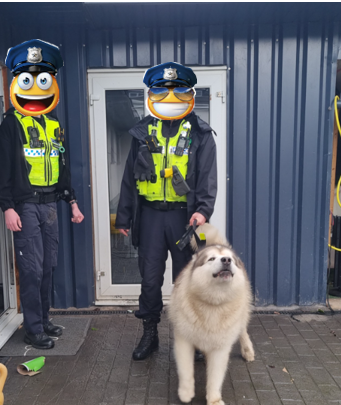 Low Hill, Bushbury & Fallings Park Police tweet media