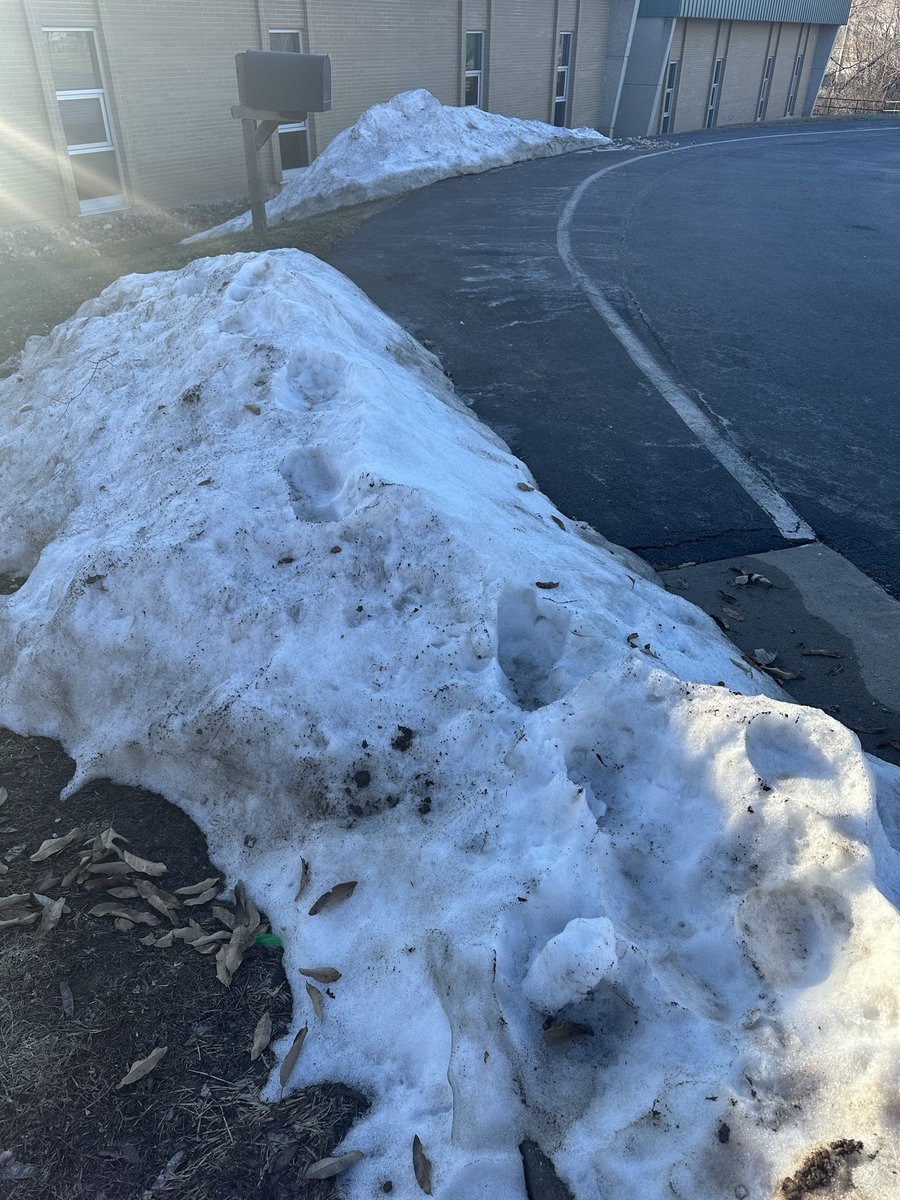 Stephanie Young tweet media