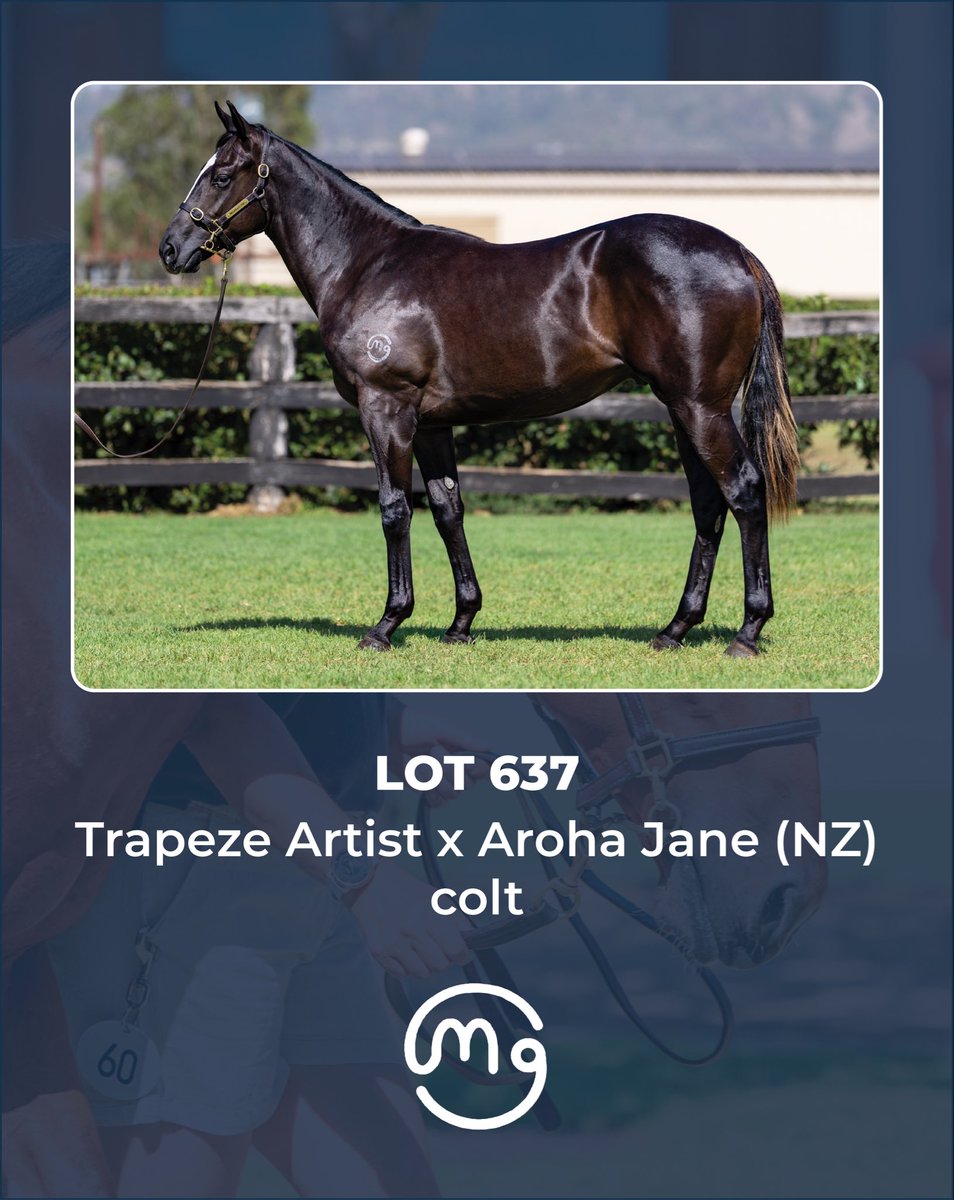 Mullaglass Stud tweet media