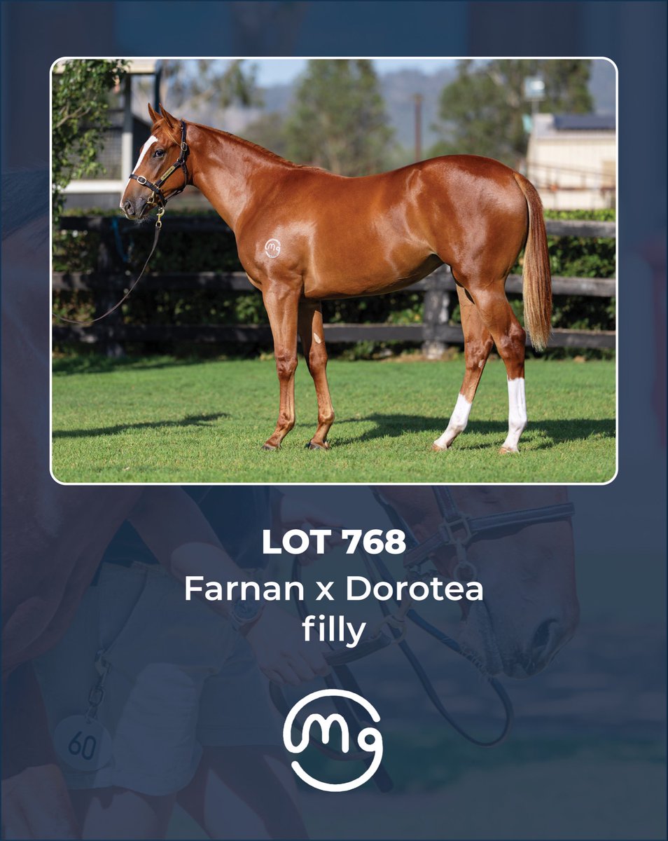 Mullaglass Stud tweet media