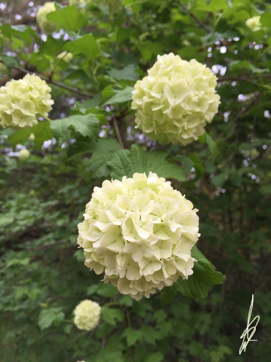 Vivíamos para vivir mejor, vivimos anclados en un presente porque quien sabe si viviremos. El futuro no es nuestro no es de nadie aun cuando nos lo estén anunciando constantemente como algo ilusionante.