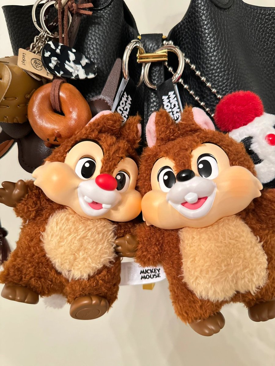 aditrahmt's tweet image. A little bit of whimsy goes a long way😊🌟 #KeychainGoals #QuirkyAccessories