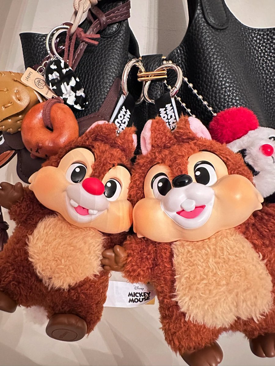 aditrahmt's tweet image. A little bit of whimsy goes a long way😊🌟 #KeychainGoals #QuirkyAccessories