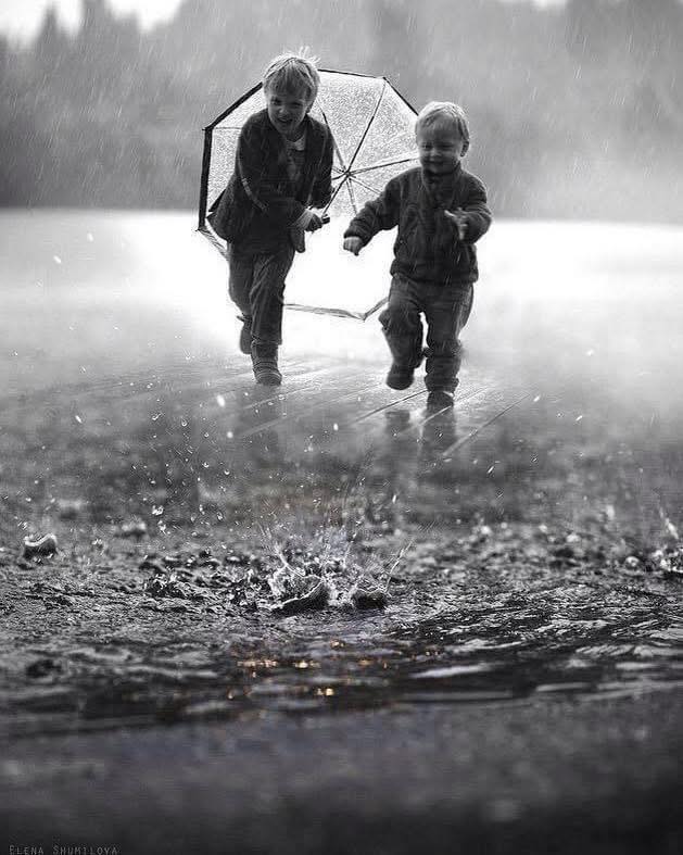 MajaSenda's tweet photo. ©Elena Shumilova https://t.co/EsE0NAMoFv