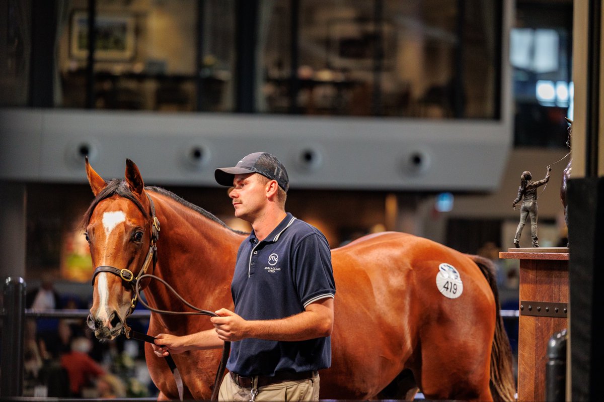 Mullaglass Stud tweet media