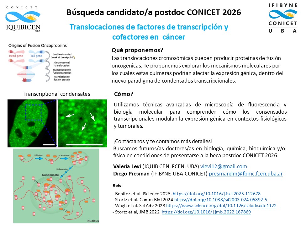 PresmanLab's tweet image. 📣Buscamos candidato/a para convocatoria 2026 de becas posdoc de CONICET
🔬Tema: Translocaciones de factores de transcripción y cofactores en  cáncer.
Lugar de trabajo: Facultad de Ciencias Exactas-Universidad de Buenos Aires 
¡Escribimos!