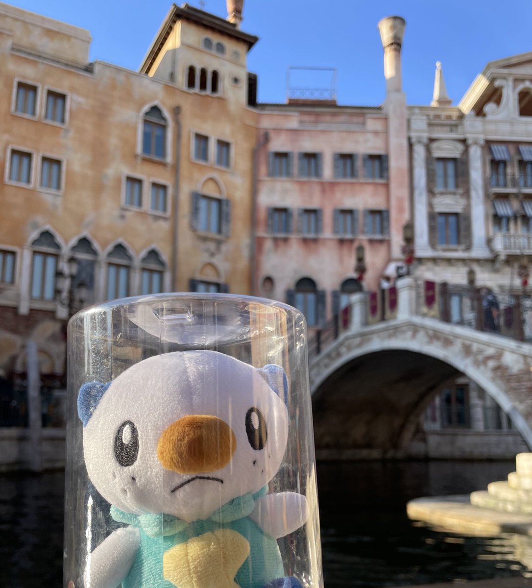 ミジュマルといっしょちゃんねる (@nuinui1103) on Twitter photo 