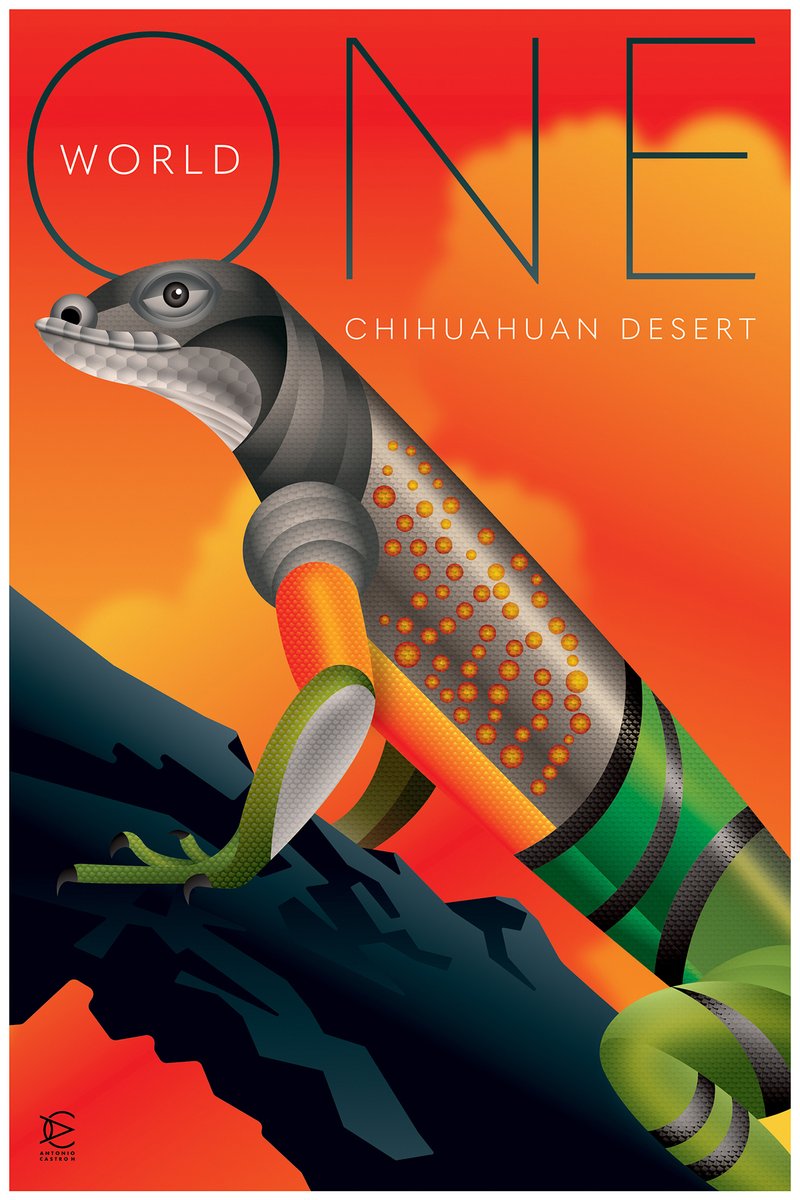 Graphis, Inc. tweet media