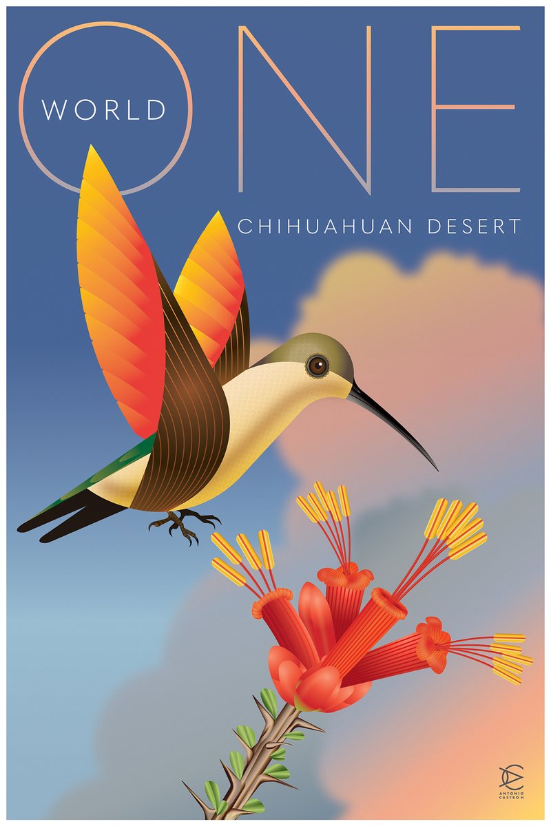 Graphis, Inc. tweet media