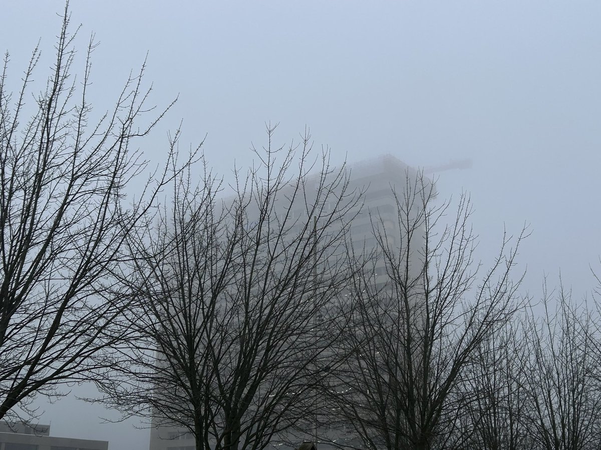 blueyukiakari's tweet image. skipping lectures to study previous lectures