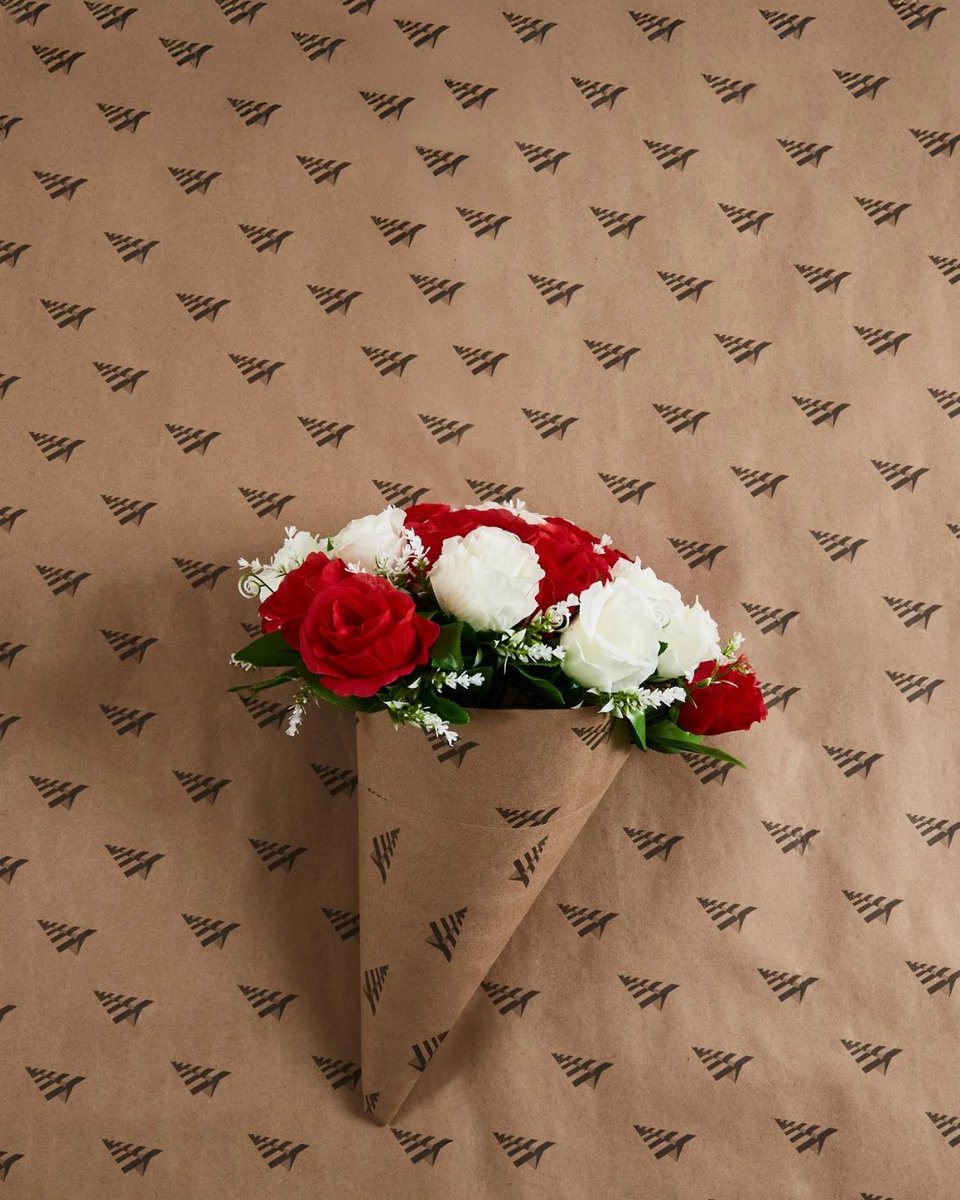 Paper Planes tweet media