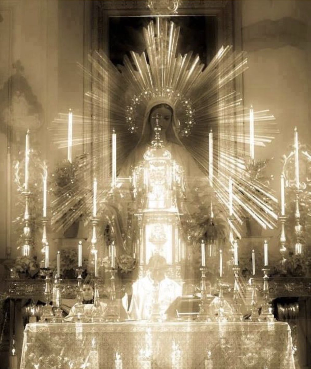 Dios te salve, María,
llena eres de gracia;
el Señor es contigo.
Bendita tú eres entre todas las mujeres,
y bendito es el fruto de tu vientre, Jesús.

Santa María, Madre de Dios,
ruega por nosotros, pecadores,
ahora y en la hora de nuestra muerte.

¡Amén! 🙏