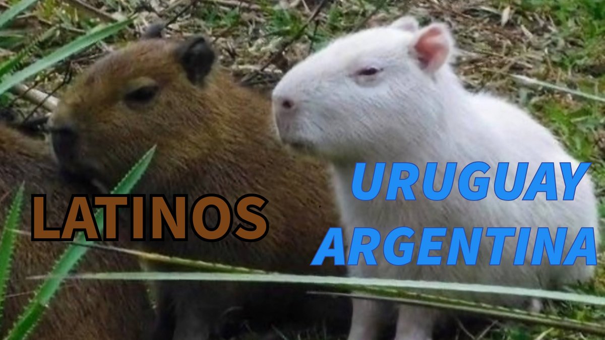 Longinuss__ tweet media