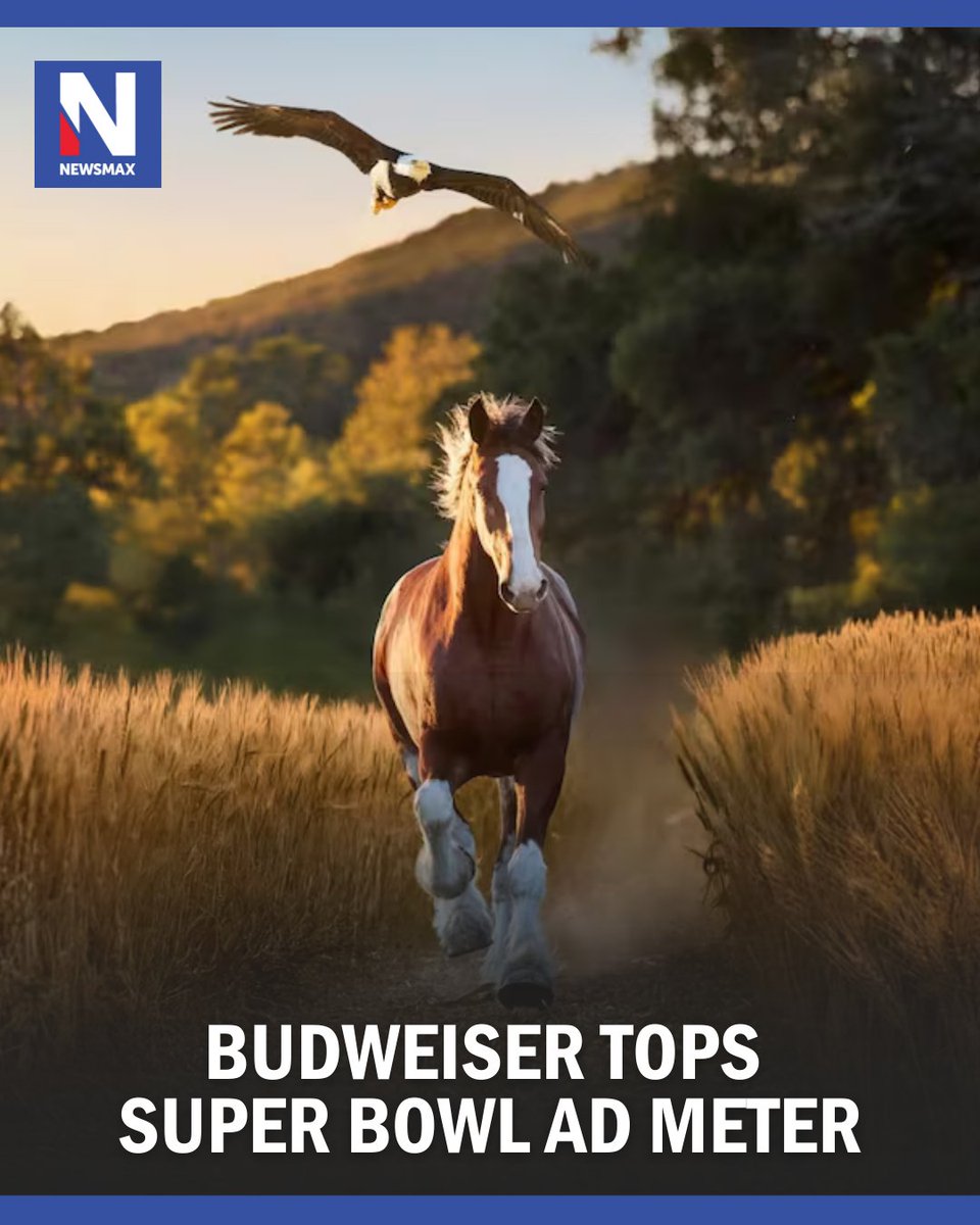 NEWSMAX's tweet photo. Budweiser's Super Bowl commercial celebrating America's upcoming 250th birthday topped USA TODAY's Ad Meter, giving the beer brand a record-setting 10th first-place finish in the annual fan vote. https://t.co/iEn4VNwPci https://t.co/kU0POyRiqE
