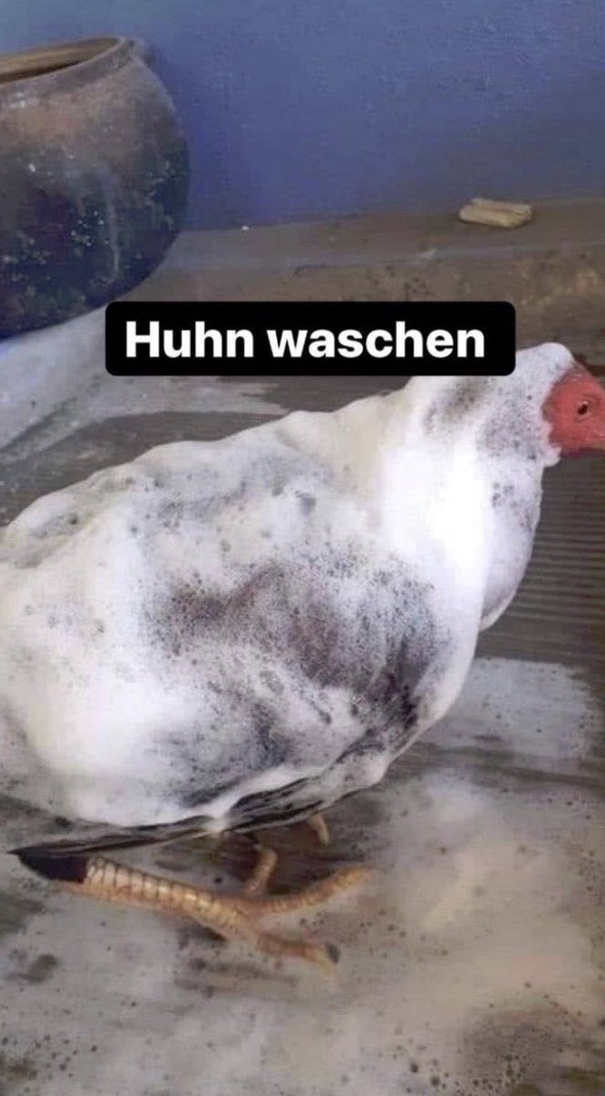 Huhn waschen