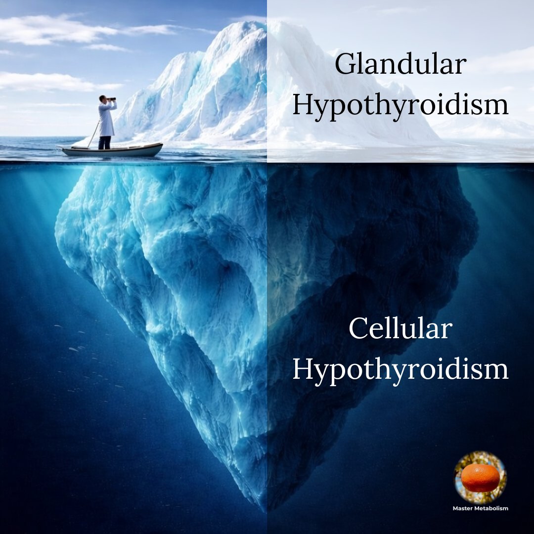 Master Metabolism tweet media