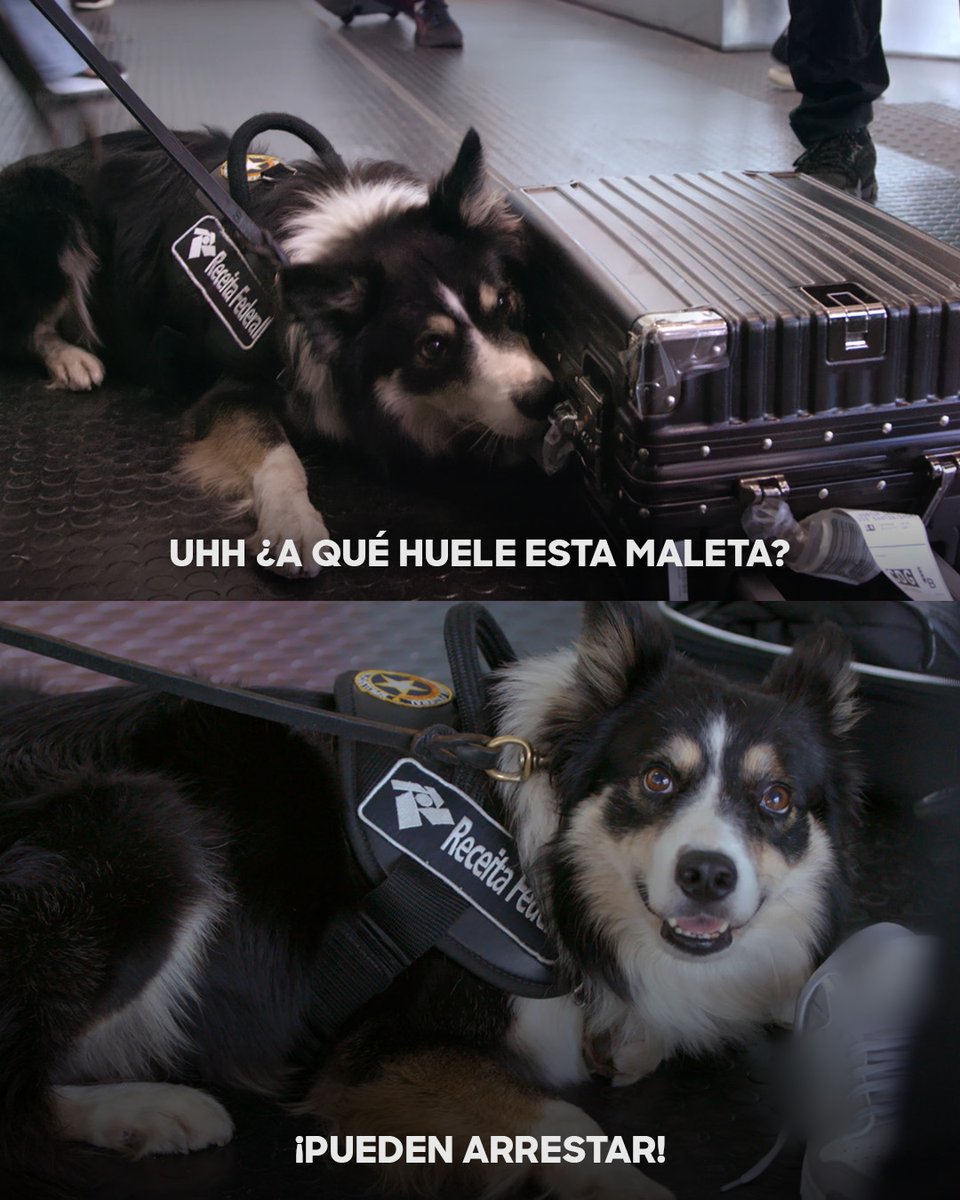 🌎 Discovery Channel tweet media