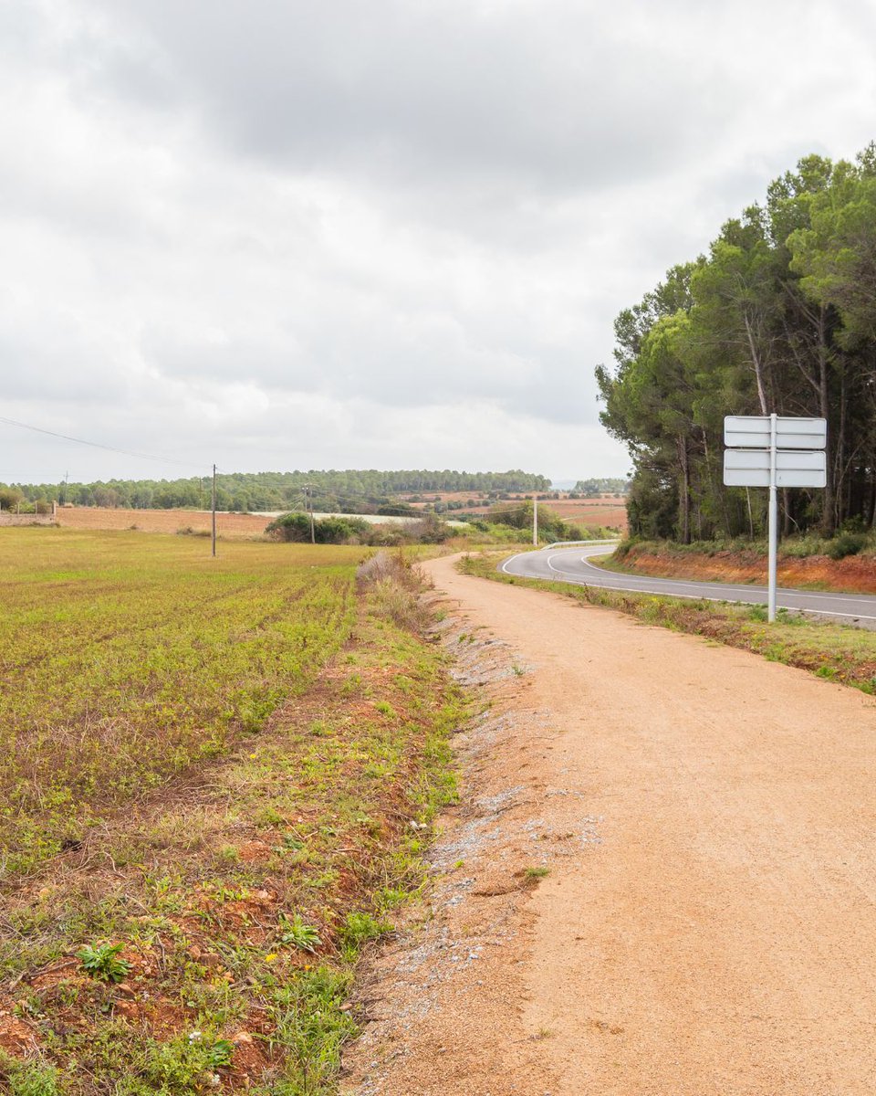 ecoviesgi's tweet image. 🌳 Coneixeu la via local entre Garrigàs i Arenys d’Empordà?

Un recorregut curt, planer i fàcil, perfecte per fer a peu o en bicicleta
🔗 Més informació a tinyurl.com/garrigas-arenys 

#EcoviesGi #ViesVerdesGi #CostaBrava #ViesLocals 
@Diputaciogirona