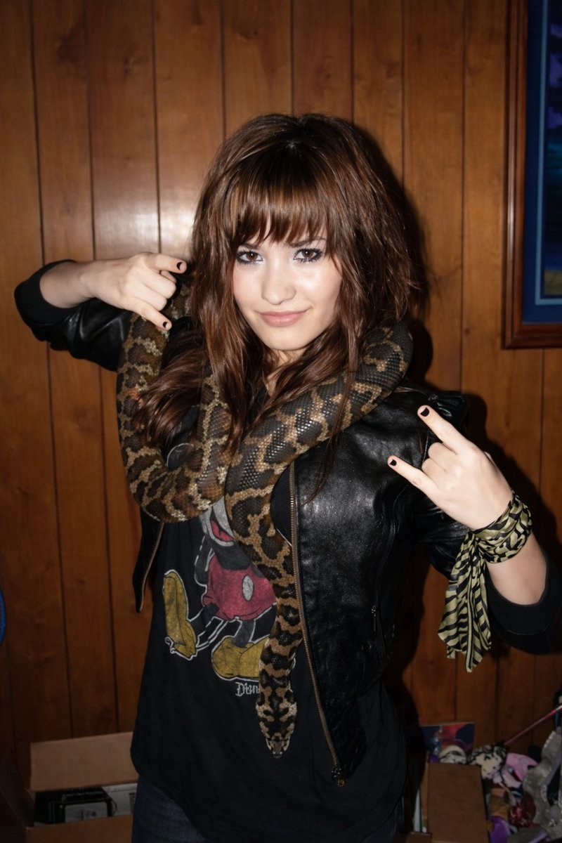 demibrasil tweet picture