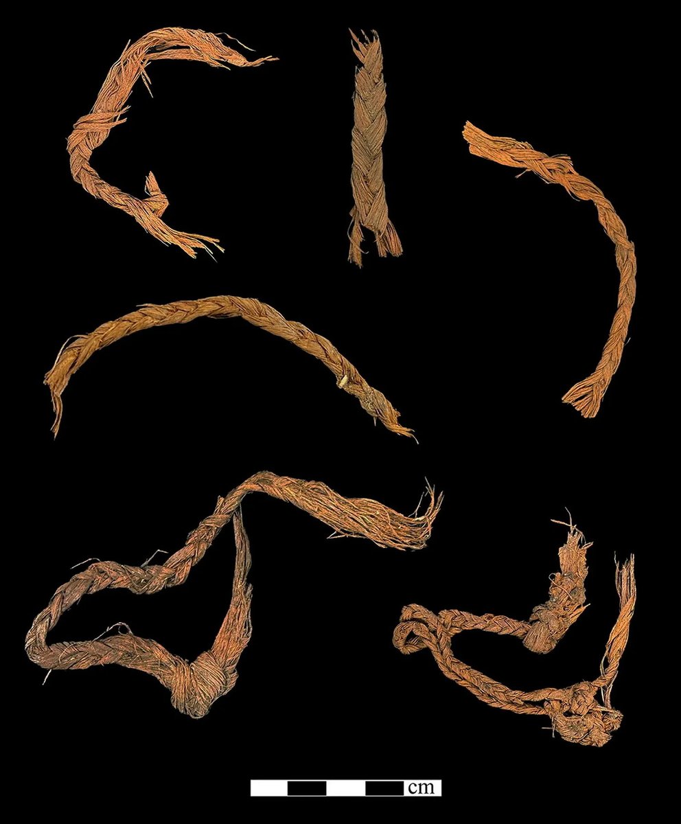 A new discovery in Oregon’s Cougar Mountain Cave now provides the earliest evidence of sewing pieces of hide together—around 12,000 years ago! Archaeologists think the preserved hides may have been part of a coat, a moccasin, or a tent.

archaeology.org/news/2026/02/0…