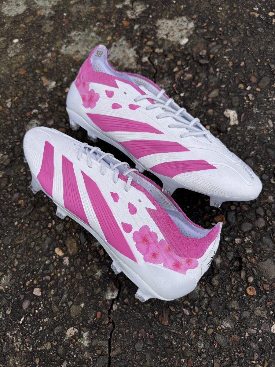 ZebraCustoms tweet media