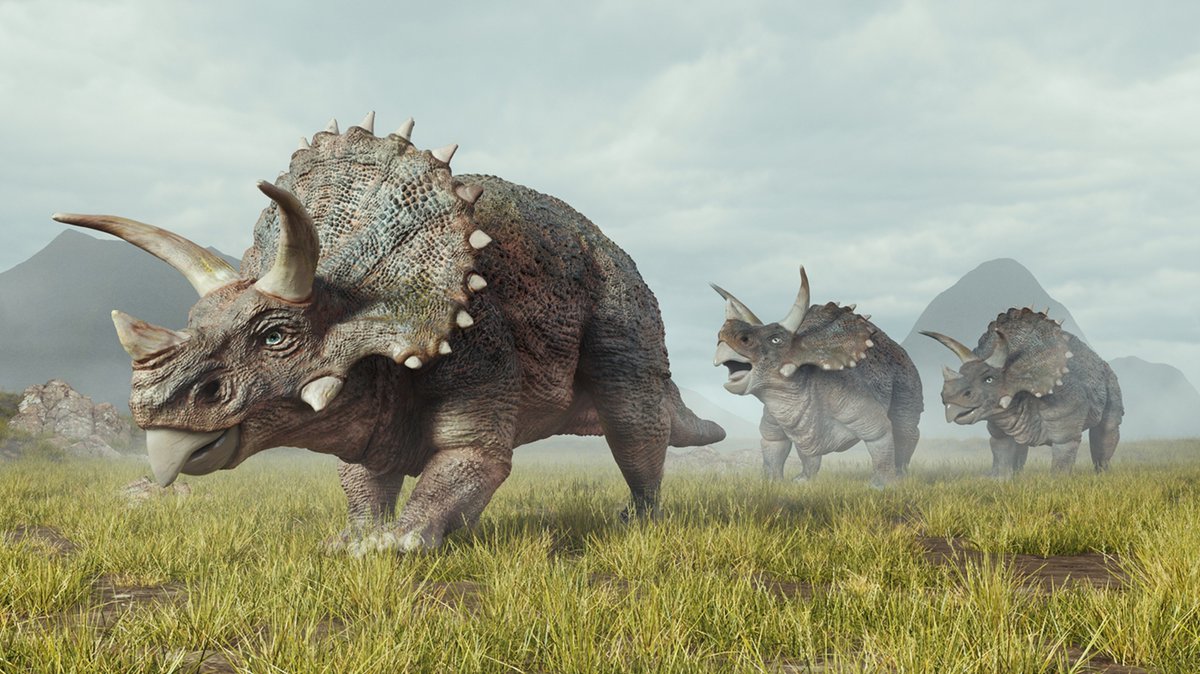 PNASNews's tweet photo. #Paleontologists are on a mission to pinpoint the dawn of the #dinosaurs. What early evolutionary steps set the stage for the animals’ impressive reign? A PNAS News Feature: https://t.co/GeFfsMcrnF
#Lewisuchus #Triassic #Silesaurus #ornithischians #extinction https://t.co/KNVBrnM4YR