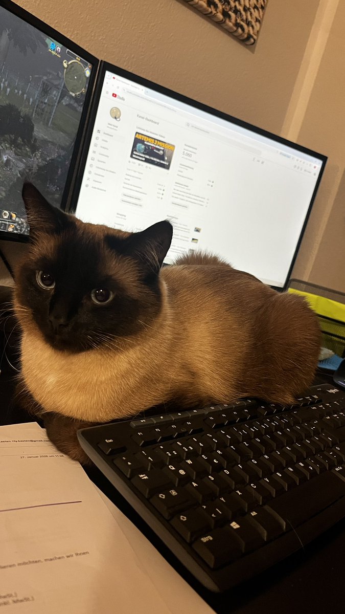 Mondgeflüster tweet media