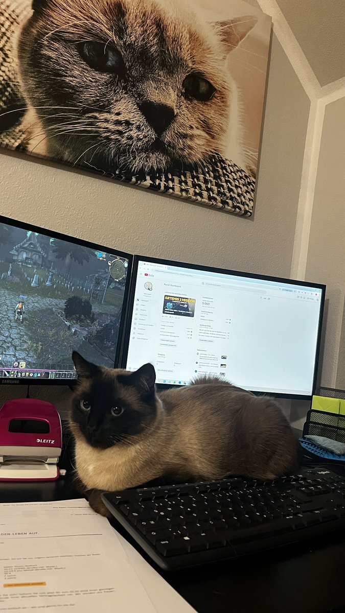 Mondgeflüster tweet media