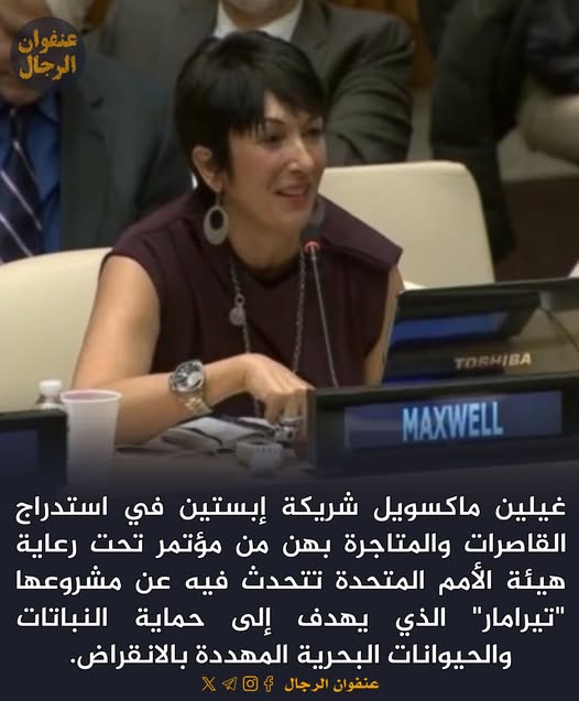 ملفات ابستين tweet media
