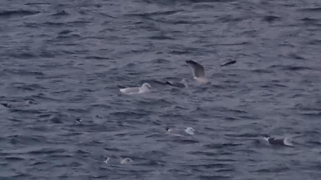 Craig Reed tweet media