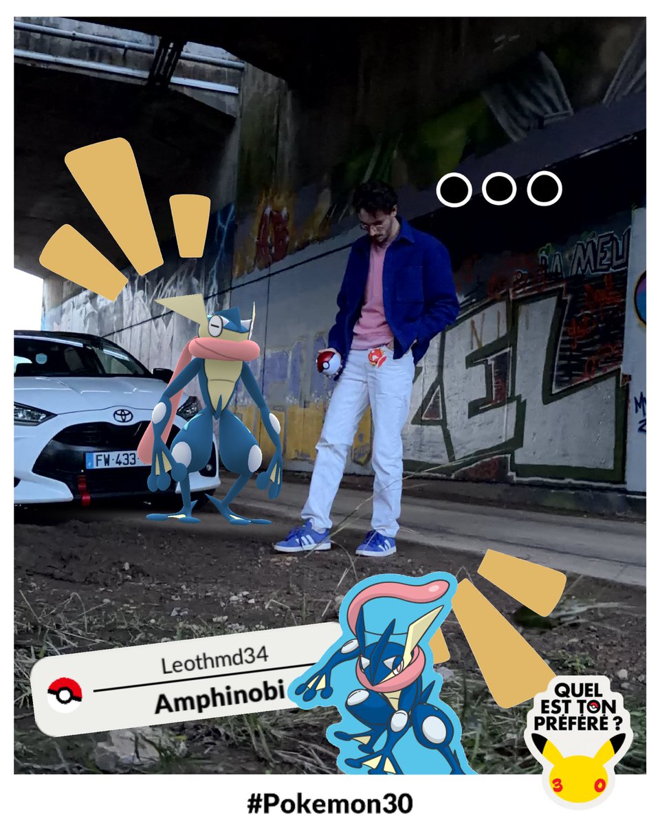 leothmd's tweet image. Roaming around in Kalos @PokemonFR @Pokemon #Pokemon30