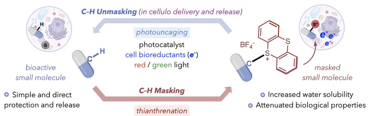 Adrián Rivas tweet media