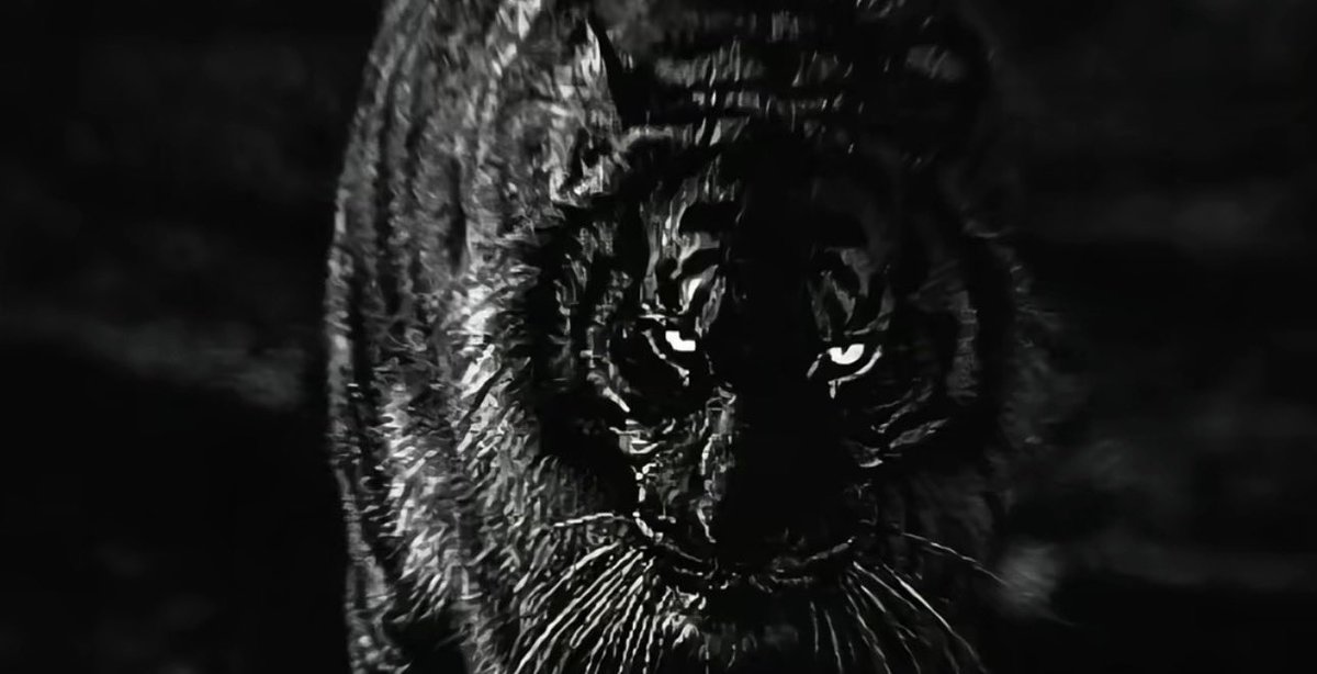 ⠀⠀⠀ 
⠀ ⠀
اواجه الايام بالصمت وكانها حيلتي الوحيده

⠀ ⠀