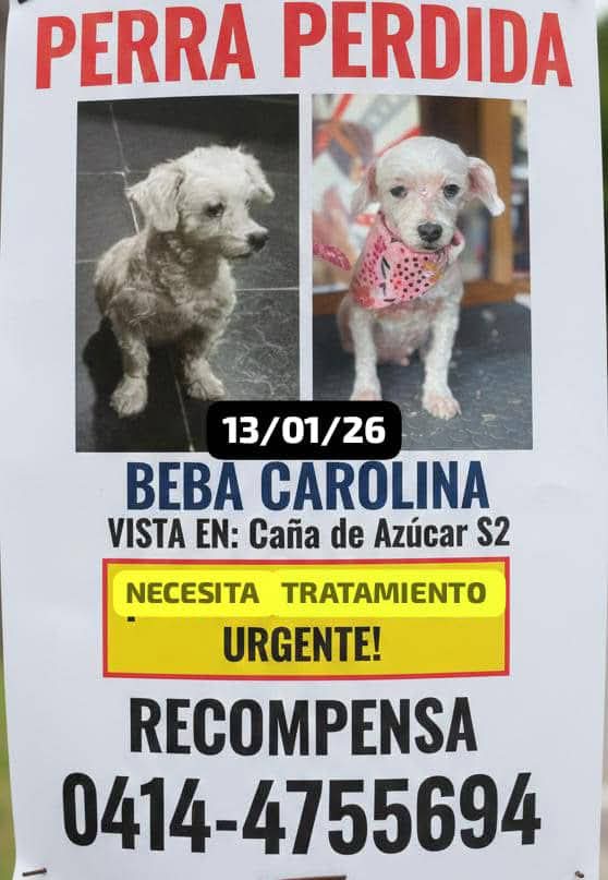 Su familia sigue buscando a Beba Carolina en Caña de Azúcar Aragua