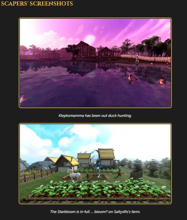 ScreenieScape tweet media