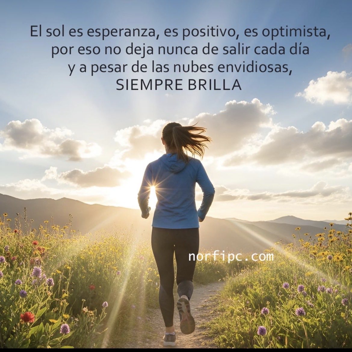 ✭ Cody ✭ tweet media