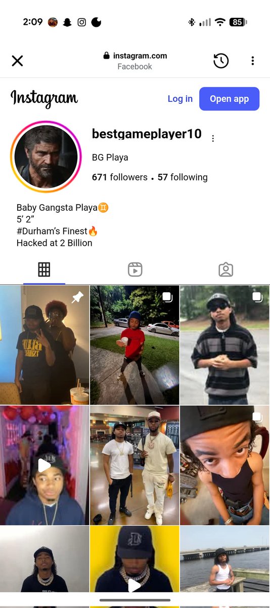 spike's pet tweet media