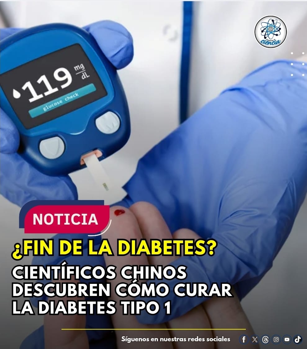 Enséñame de Ciencia tweet media
