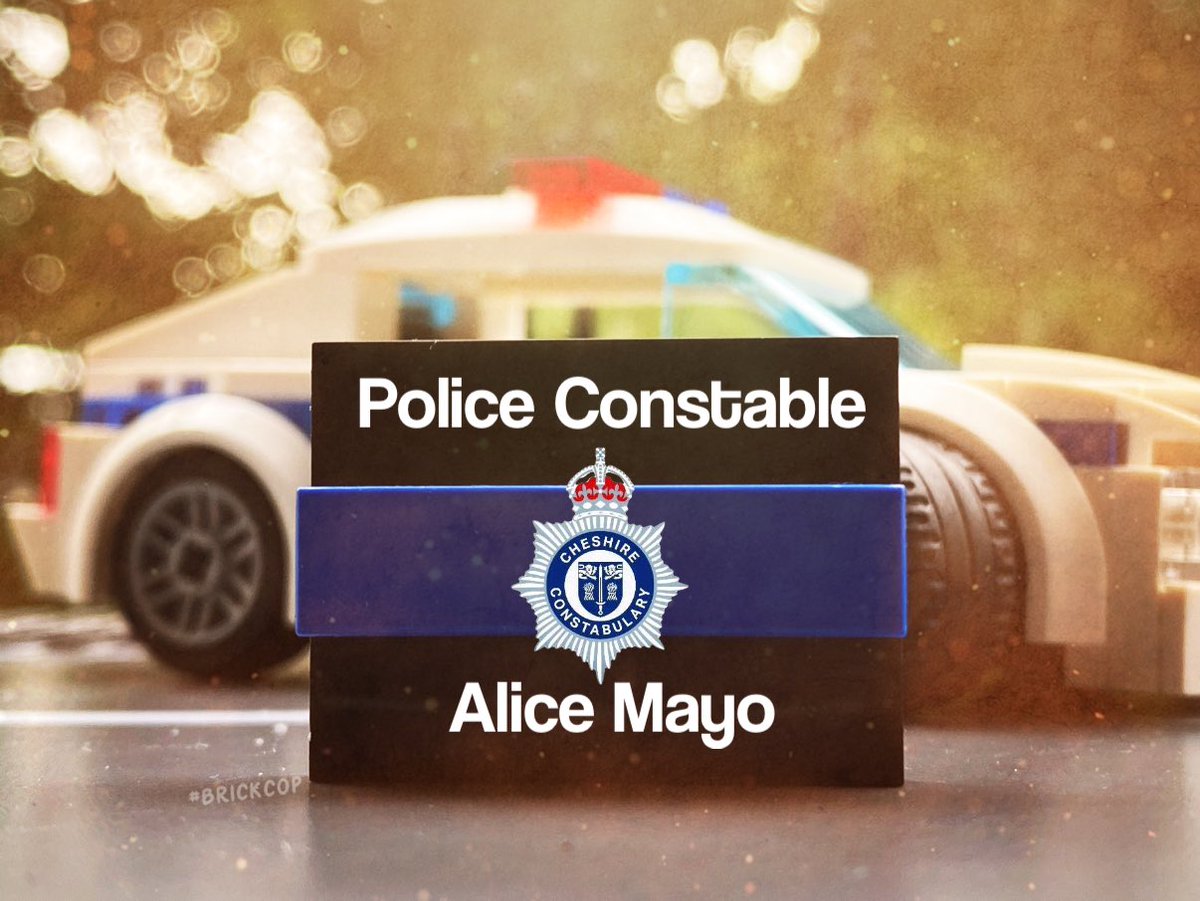 Brick Cop©️ tweet media