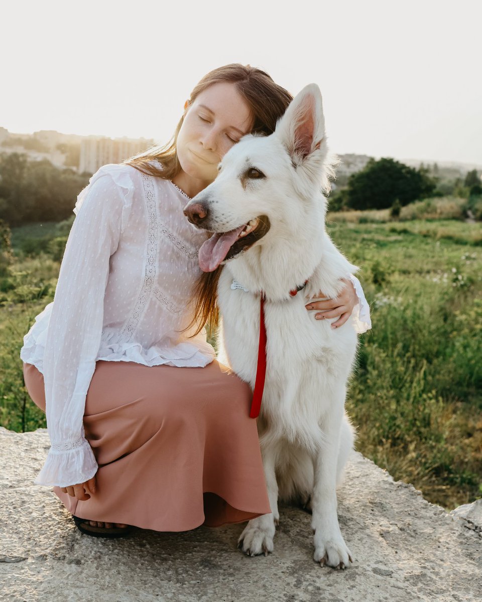 UVM Professional & Continuing Education tweet media