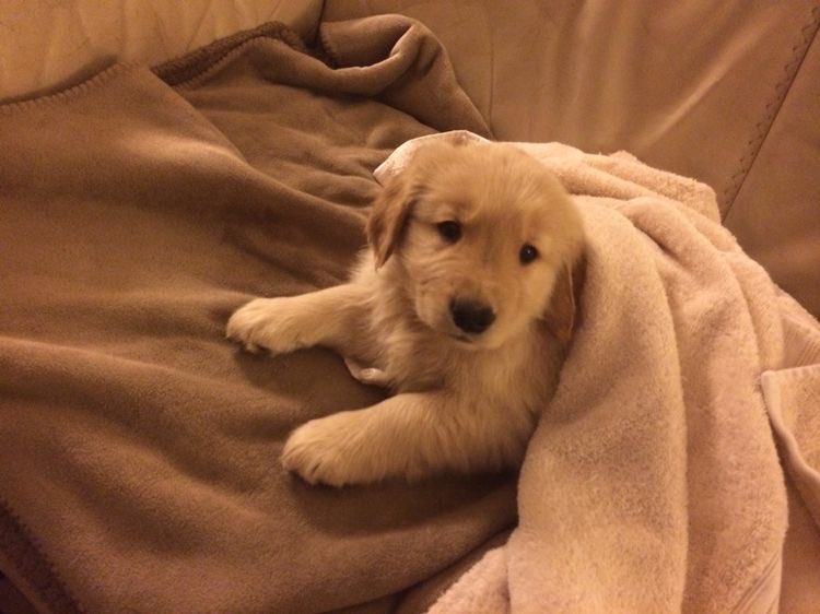 หนายจุ้บให้เก้ดล่ะ