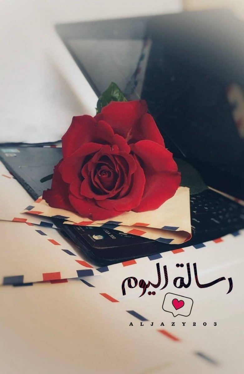 قطرااات الندى tweet media